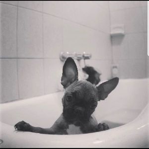 Meet your Posher, Mark